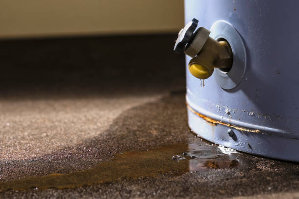 Best Carpet water damage restoration  in Basehor, KS