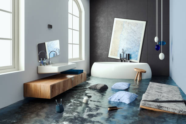 Professional Water damage restoration in Basehor, KS