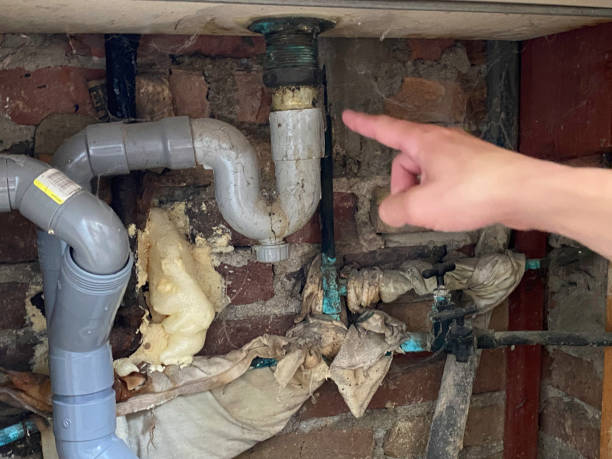 Best Water damage restoration company  in Basehor, KS