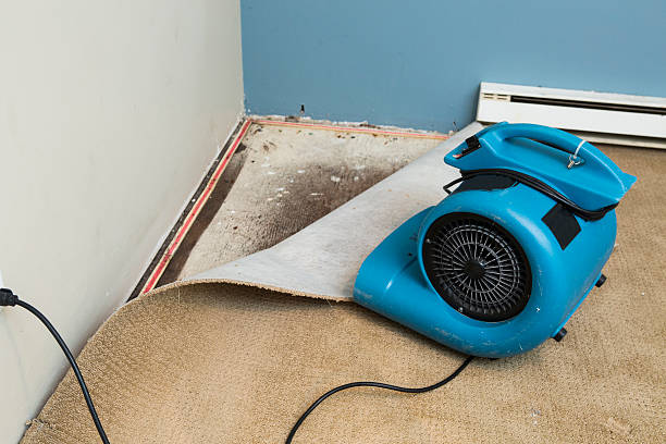 Best Water damage restoration near me  in Basehor, KS